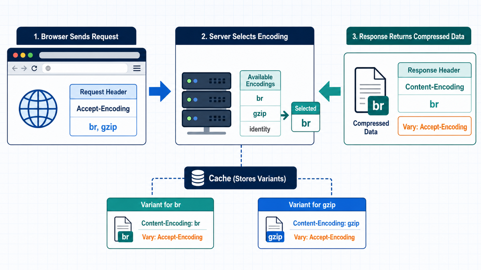 Gzip·Brotli 압축 적용 확인|헤더·캐시·원복 20분 점검 1 브라우저 Accept-Encoding 요청과 서버 Content-Encoding 선택 및 Vary 캐시 구분